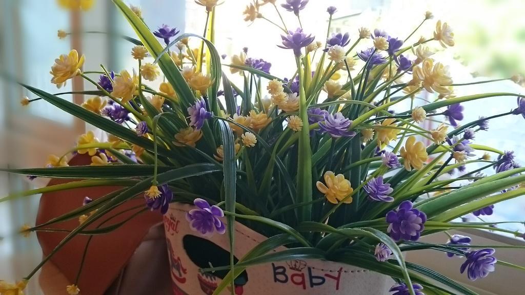 شقة Happy Sun Taitung المظهر الخارجي الصورة
